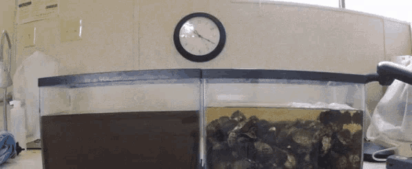 Dirty Water Filtration GIF - Dirty Water Brown Water Clean Water GIFs