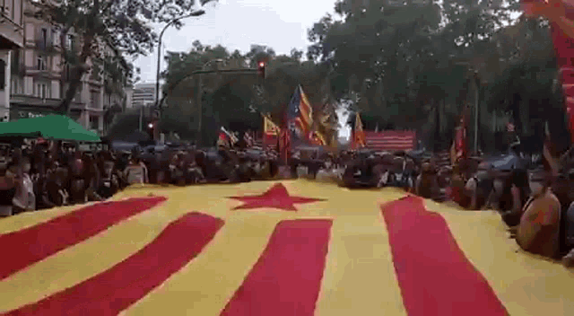 Diada Catalana GIF