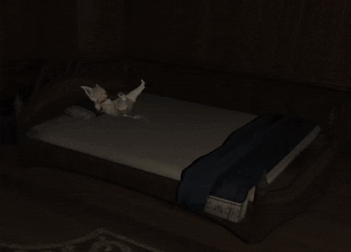 a cartoon character is standing in front of a bed that has a blue blanket on it