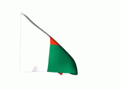 Madagascar Flag GIF - Madagascar GIFs