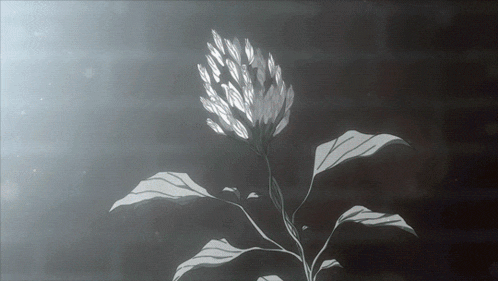 a black and white drawing of a plant with leaves and flowers