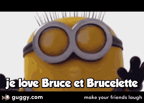 a picture of a minion with the words je love bruce et brucelette on it