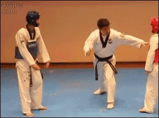 Taekwondo GIF - Taekwondo GIFs