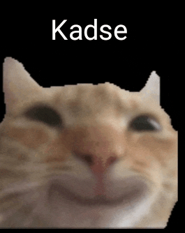 a close up of a cat 's face with the word kadse on the bottom