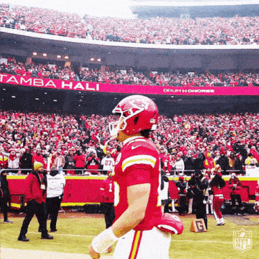 a football player stands on the field in front of a tampa hali sign