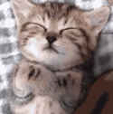 Have A Nice Day Good Sunday GIF - Have A Nice Day Good Sunday GIFs