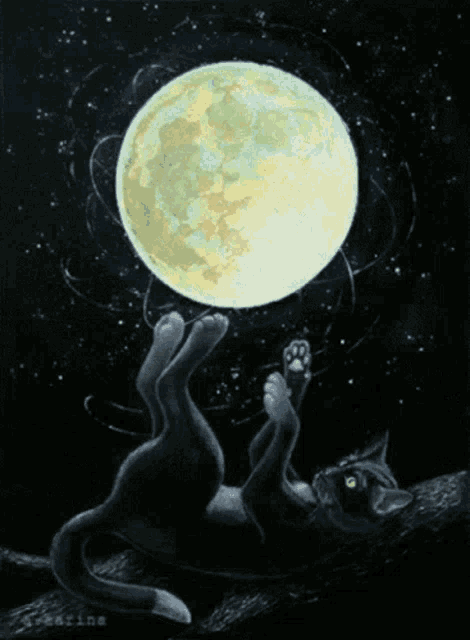 a painting of a black cat laying on its back with a full moon in the background