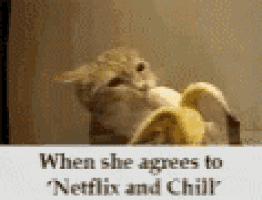 a cat is eating a banana with a caption that says `` when she agrees to netflix and chill ''