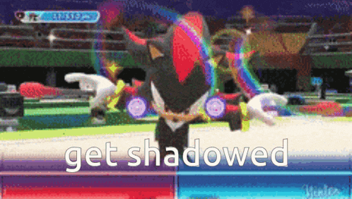 shadow the hedgehog in a video game with the words get shadowed written below him