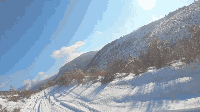 a snowy hillside with a blue sky and trees