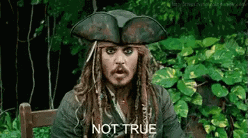 Not True GIF - Not True Pirates Johnny Depp GIFs