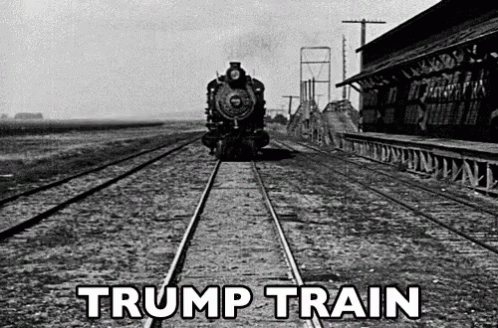 Trump GIF - Trump Train Donald Trump GIFs