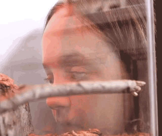 a close up of a woman 's face looking at a snake through a glass cage .
