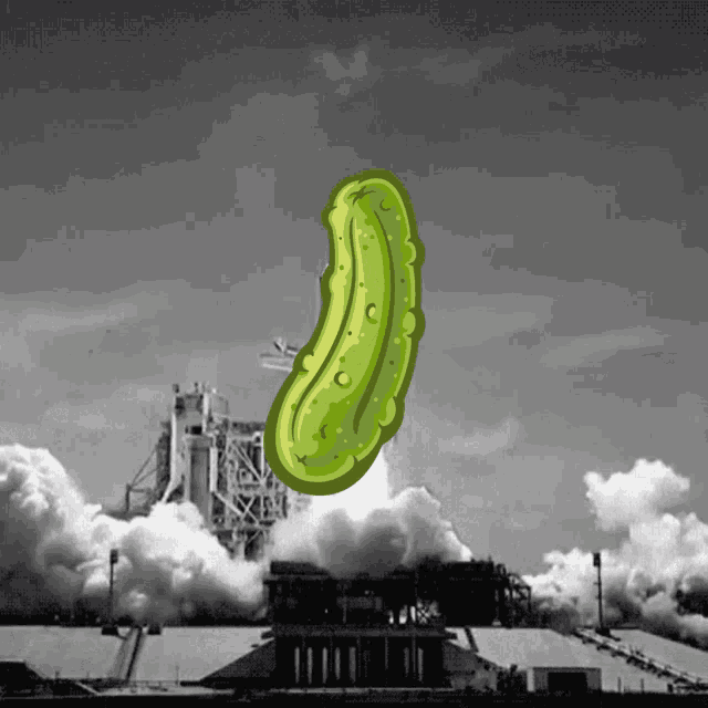 Pickle Rocket GIF - Pickle Rocket GIFs