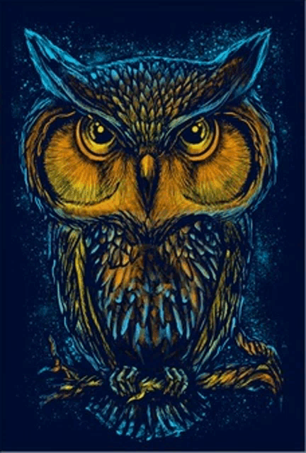 a colorful owl sitting on a tree branch with a dark background