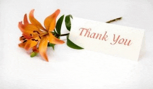a thank you card next to an orange flower