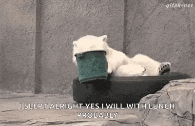 a polar bear is laying on top of a tire with a bucket in its mouth .