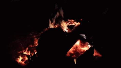 Fire Burning GIF - Fire Burning Burn GIFs