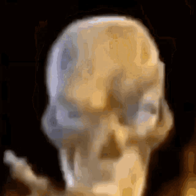 a blurry picture of a skull with a skeleton in the background