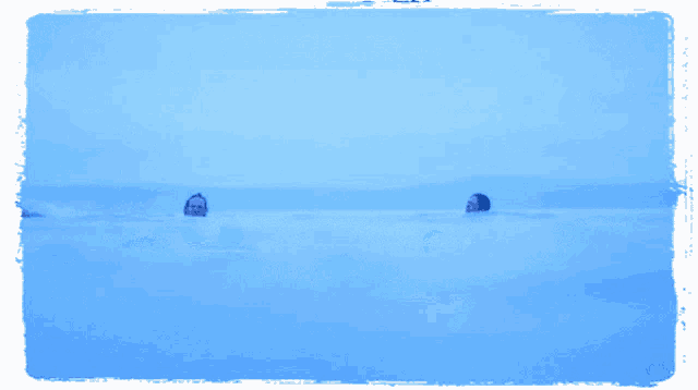 three people are swimming in a pool with a blue frame around them