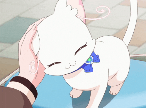 a white cat with a blue bow around its neck