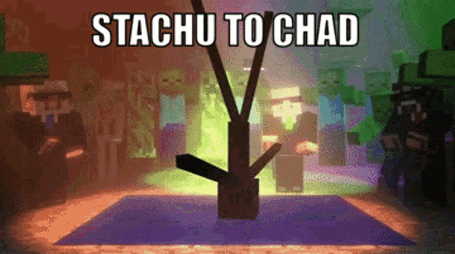a screenshot of a video game with the words stachu to chad