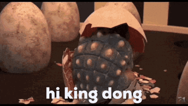 a broken egg with the words hi king dong on the bottom