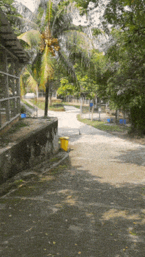 a yellow trash can sits on the side of a road near a palm tree