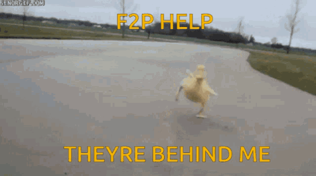 a duck is jumping in the air with the words f2p help theyre behind me