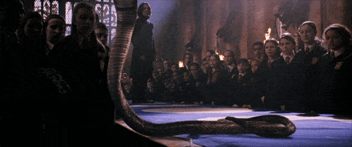 a group of people standing around a large snake on a blue cloth