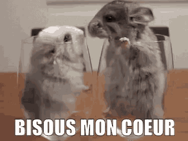 a couple of chinchillas standing next to each other in glasses on a table .