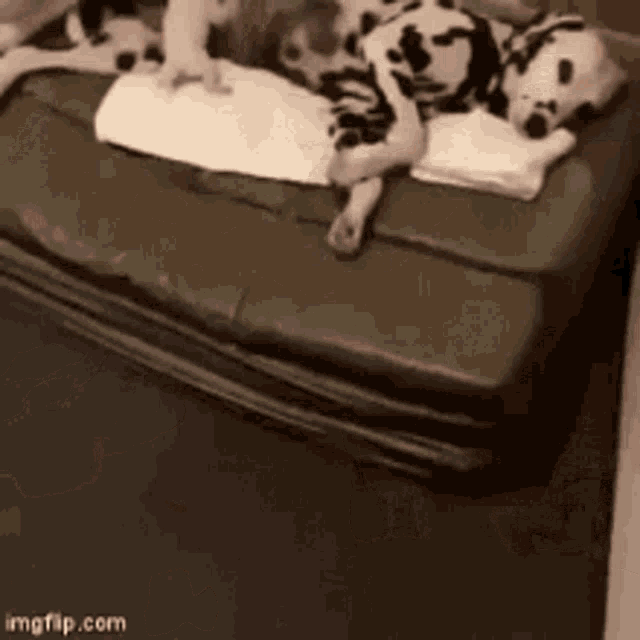 Puppy Feed Me GIF - Puppy Feed Me Hungry GIFs