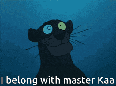 a picture of a panther with the words i belong with master kaa on the bottom
