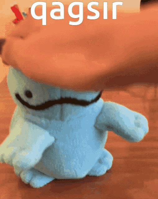 a blue stuffed animal with the word qagsir on it