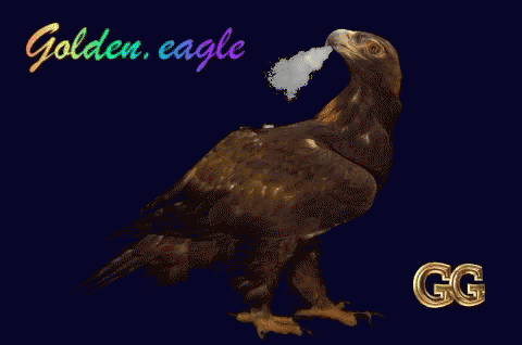 Tae Golden Eagle GIF - Tae Golden Eagle GIFs