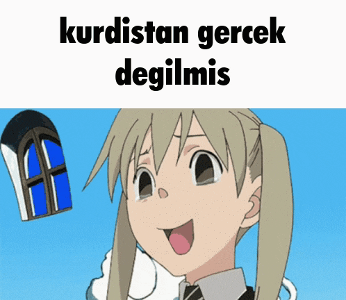 a cartoon of a girl with the words kurdistan gerçek degilmis on the bottom