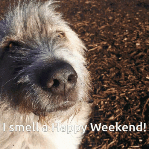 Kratu Happy Wee GIF - Kratu Happy Wee I Smell A Happy Weekend GIFs