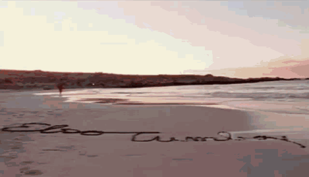 someone has written the word elseo in the sand on a beach