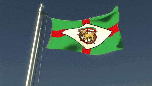 a green white and red flag with a lion and a steering wheel on it