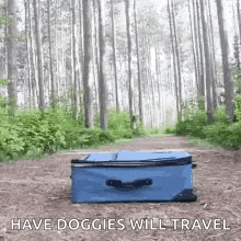 a blue suitcase is sitting on top of a dirt path in the woods .