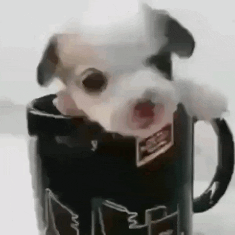 a small puppy is sitting in a coffee mug .