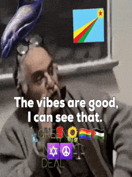 a man with a dolphin on his head and the words " the vibes are good i can see that "