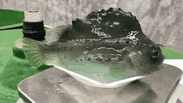 a fish is sitting on a white plate on top of a scale