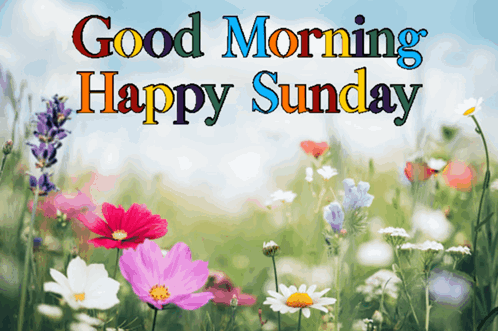 Happy Sunday Good Morning Happy Sunday GIF - Happy Sunday Good Morning Happy Sunday Good Morning GIFs
