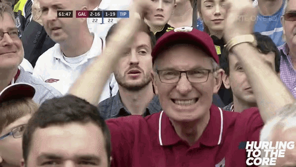 Hurling What GIF - Hurling What Sports Divided Reaction GIFs