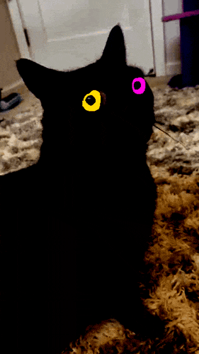 a black cat with yellow eyes and a pink eye
