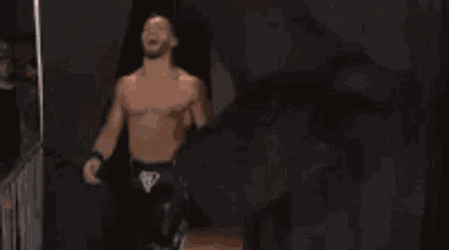 a shirtless man is standing in a boxing ring .