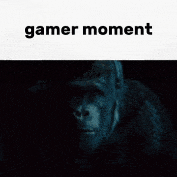 Gamer Gamer Moment GIF - Gamer Gamer Moment Meme GIFs