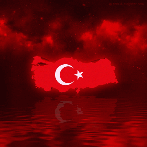 Türkiye Bayrak GIF - Türkiye Bayrak Ay Yıldız GIFs