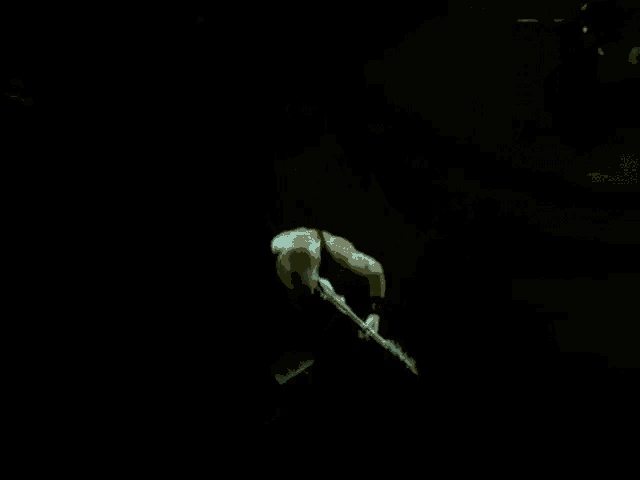 a shirtless man is playing a bass guitar on stage .